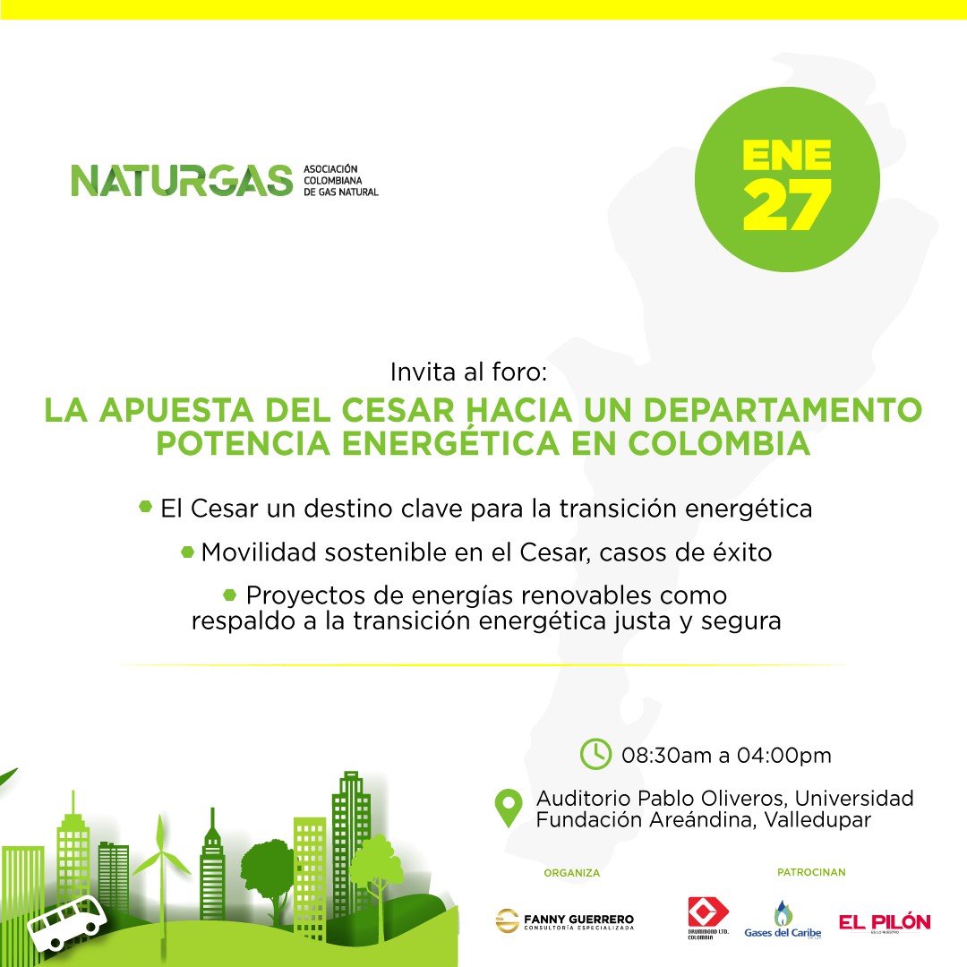 Foro: La Apuesta del Cesar hacia un departamento potencia energética en Colombia